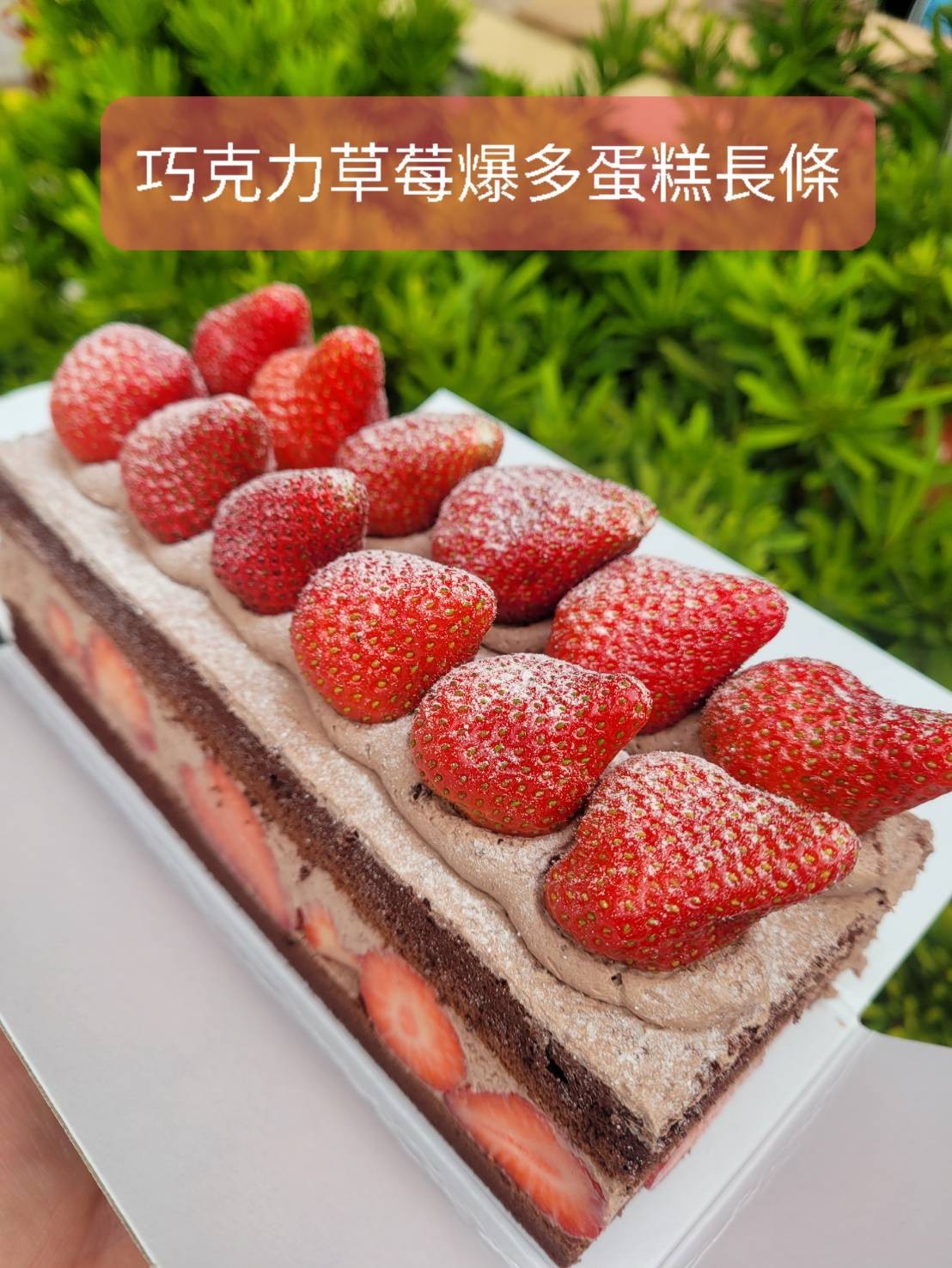台灣草莓爆多巧克力蛋糕(長條)