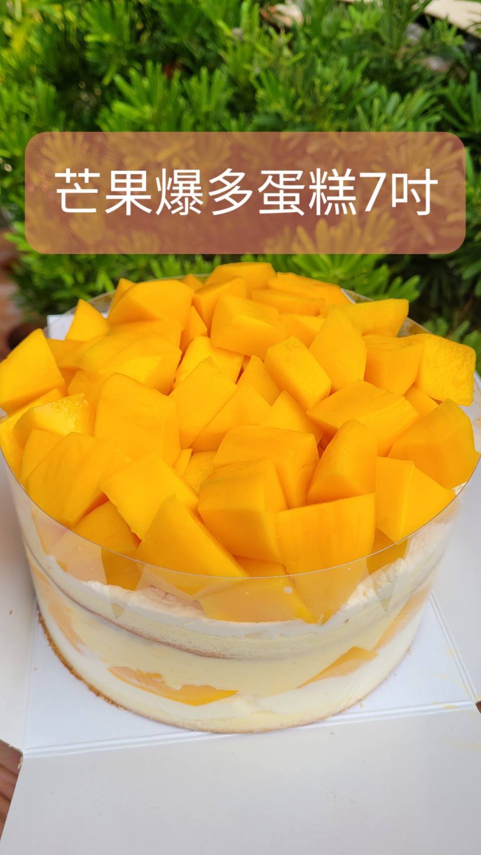 新鮮芒果爆多蛋糕(7吋圓形)