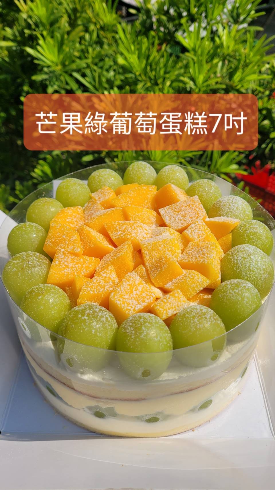新鮮芒果 綠葡萄蛋糕(7吋圓形)
