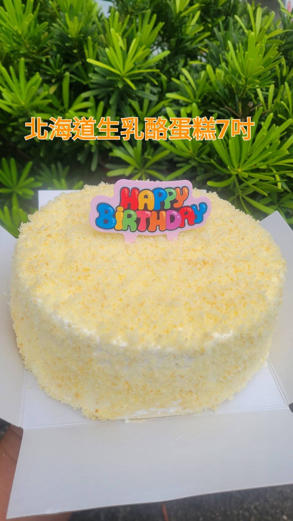 北海道生乳酪蛋糕 (7吋圓形) （不提供紙袋，需要紙袋請至紙袋系列購買）