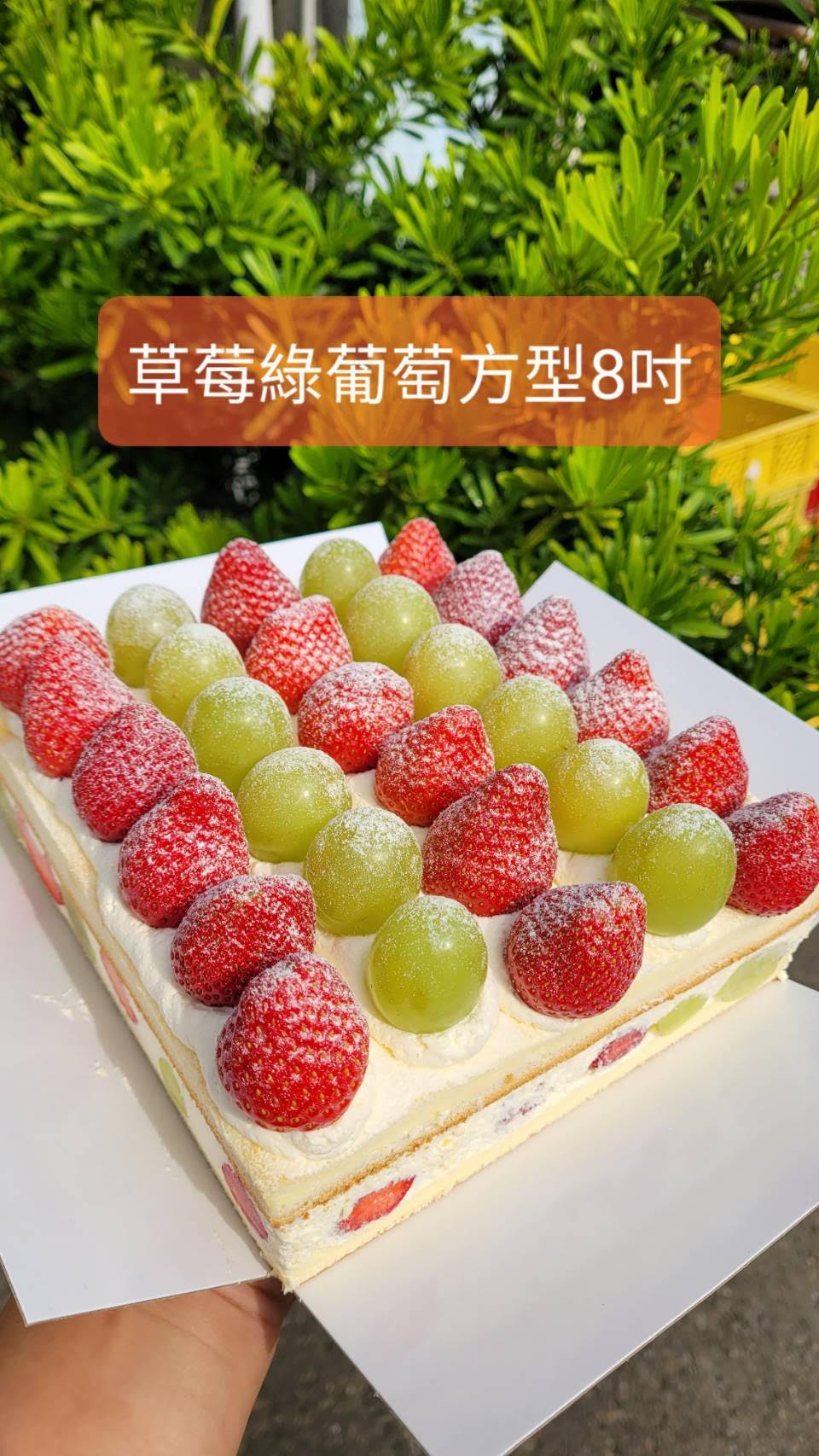 草莓 無籽綠葡萄爆多蛋糕(方形8吋)