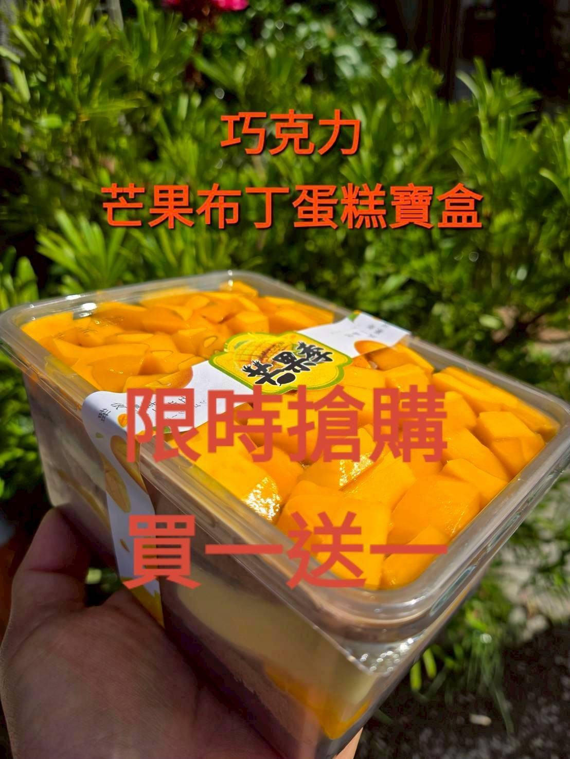 芒果布丁巧克力蛋糕寶盒(寶盒規格1000ml)（買一送一=下單1組就是2盒）加官方line@洽詢蛋糕出貨事宜（不提供紙袋，需要紙袋請至紙袋系列購買）