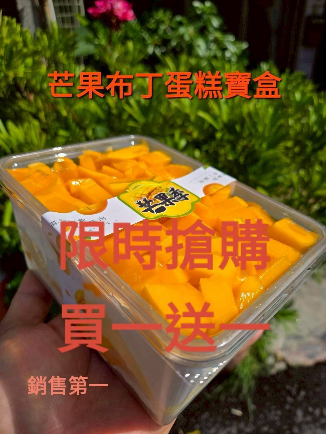 芒果布丁蛋糕寶盒(寶盒規格1000ml)（買一送一=下單1組就是2盒）加官方line@洽詢蛋糕出貨事宜（不提供紙袋，需要紙袋請至紙袋系列購買）