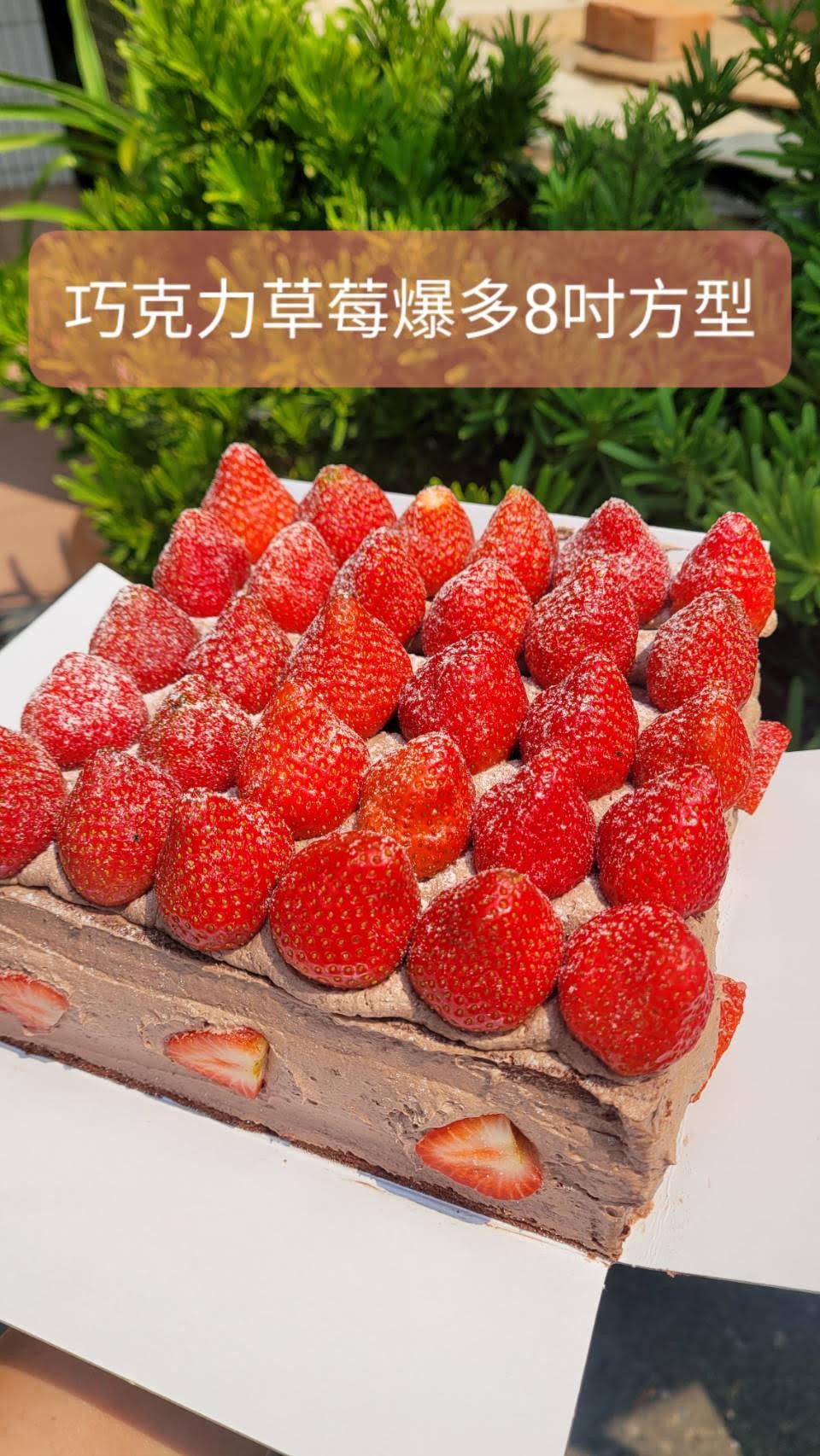 進口雙層草莓爆多巧克力蛋糕(方型8吋) 